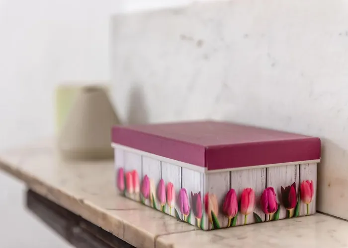 Сasa de vacaciones Nafeti Palma de Mallorca