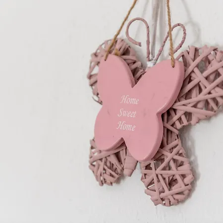 Nafeti Palma de Mallorca